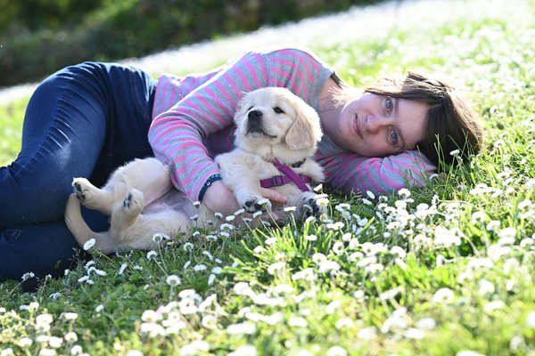 Explorez les essentiels pour vos compagnons sur EquipNord